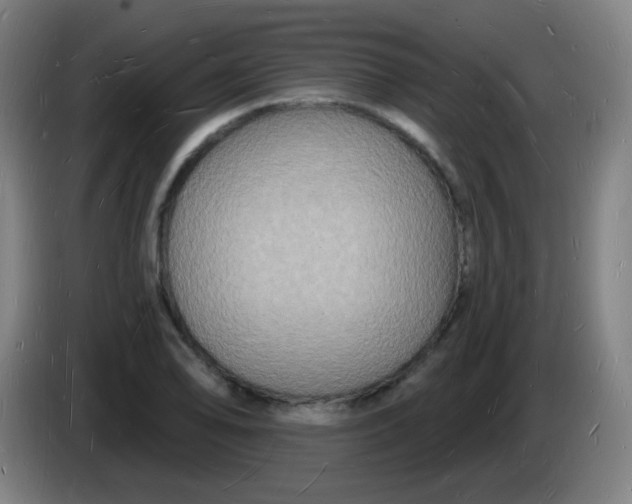 X0000085281078200703301911