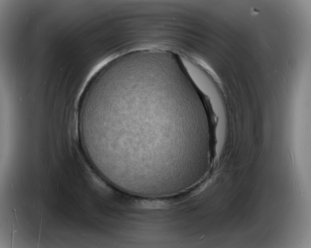 X0000085281079200703301911