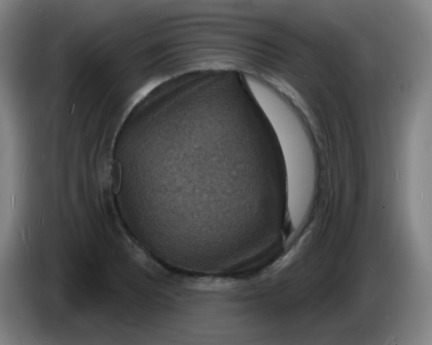 X0000085281081200703301911