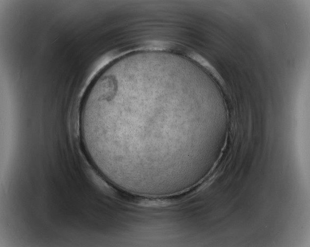 X0000085281083200703301911