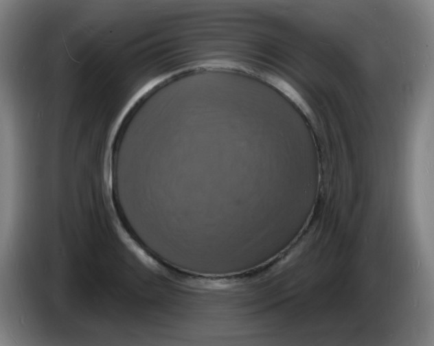 X0000085281084200703301911