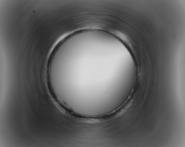 X0000085281085200703301910