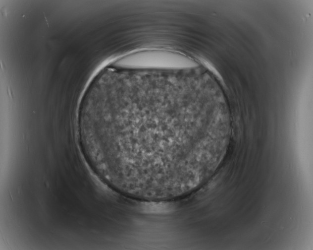X0000085281087200703301910