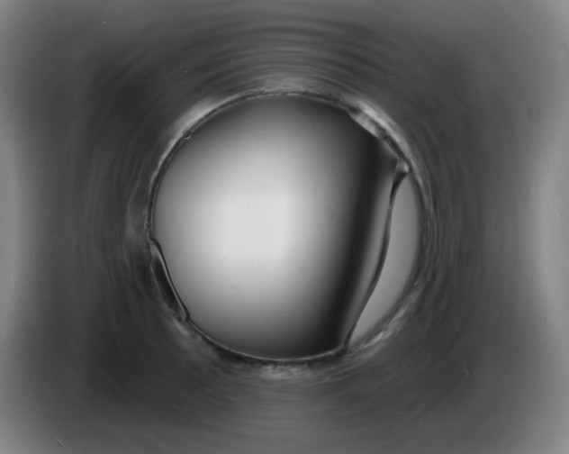 X0000085281089200703301910