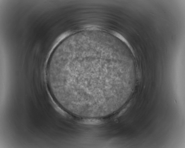 X0000085281090200703301910