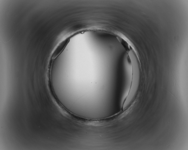 X0000085281093200703301910