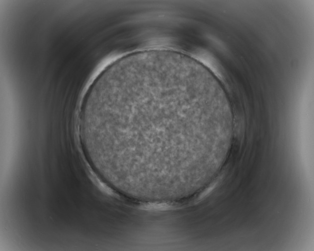 X0000085281094200703301910