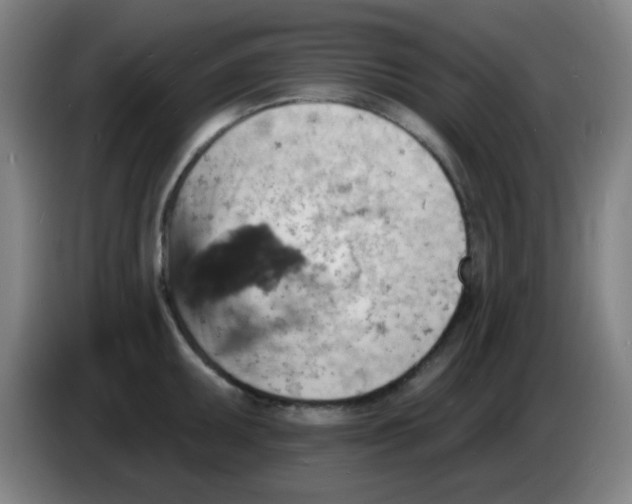 X0000085281095200703301910