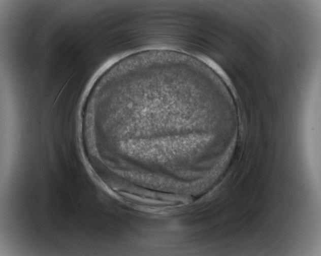 X0000085281096200703301910
