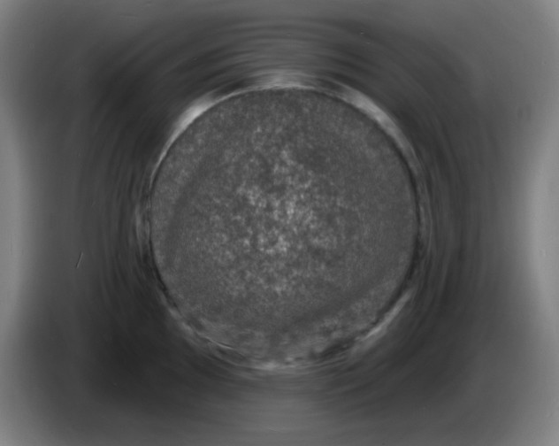 X0000085281097200703301910
