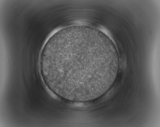 X0000085281098200703301910