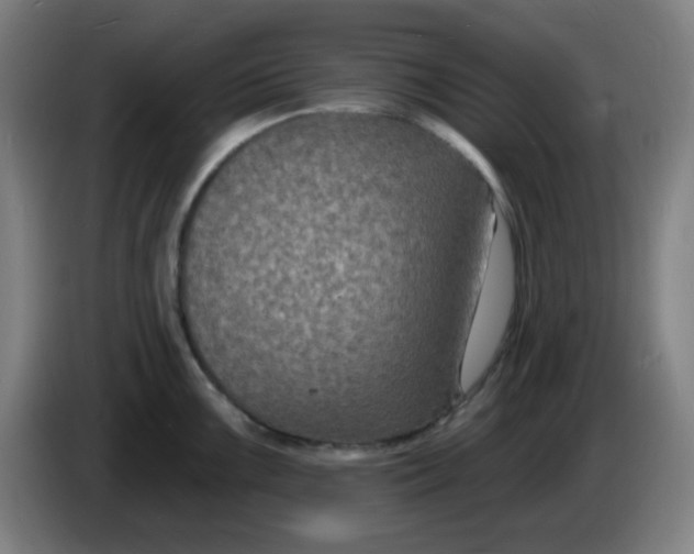 X0000085281099200703301910