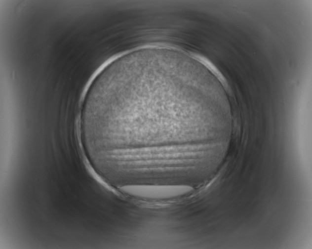 X0000085281100200703301910