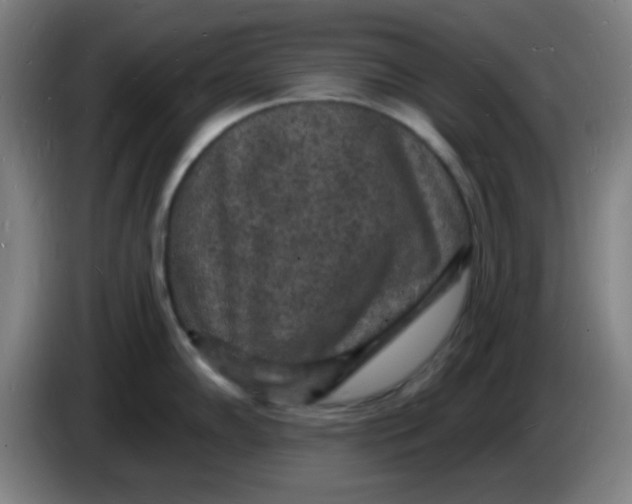 X0000085281102200703301910