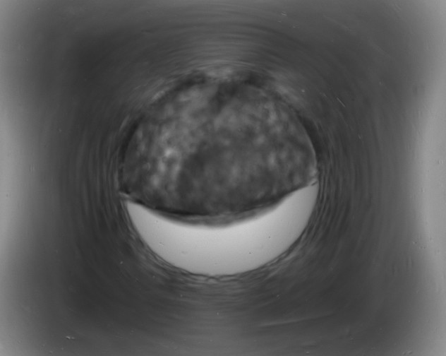 X0000085281106200703301910