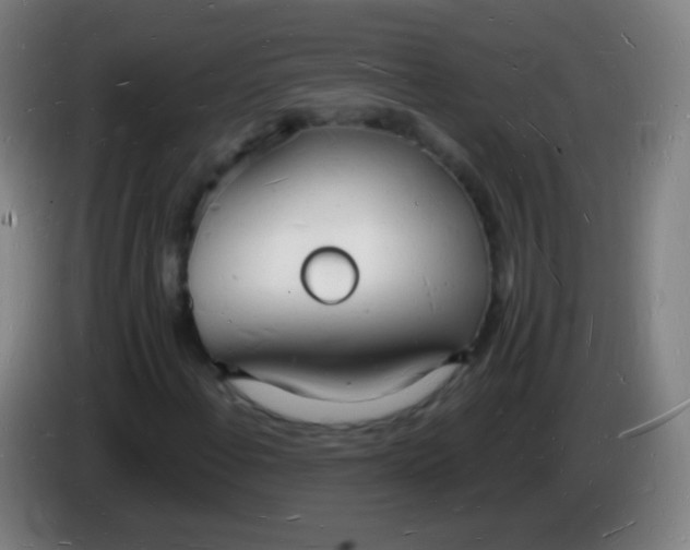 X0000085281108200703301910