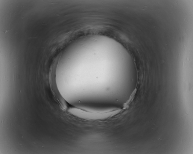 X0000085281109200703301910
