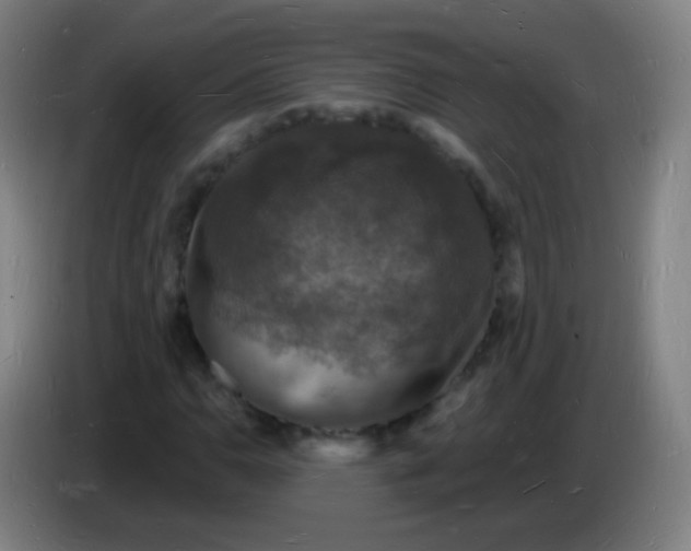 X0000085281110200703301910