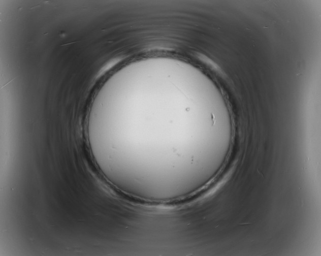 X0000085281113200703301910