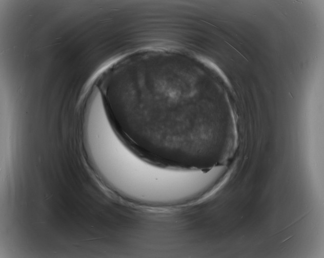 X0000085281114200703301910
