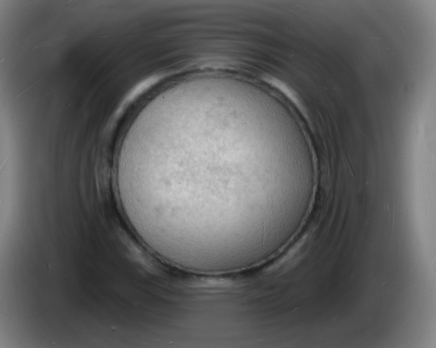 X0000085281115200703301910