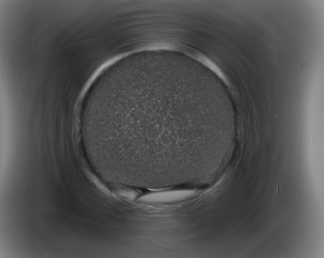 X0000085281116200703301910