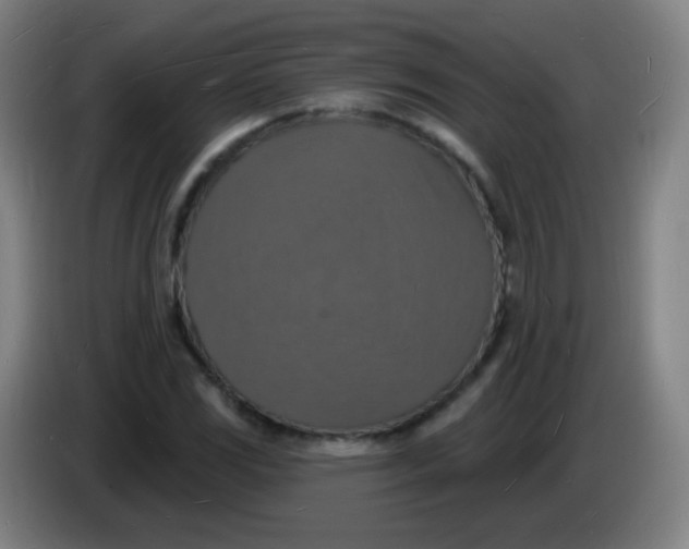 X0000085281117200703301910