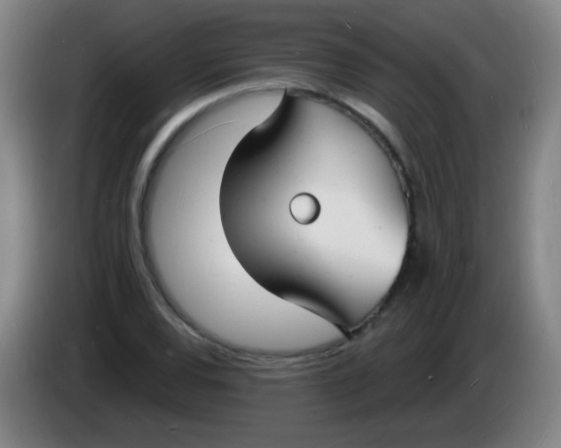 X0000085281120200703301910