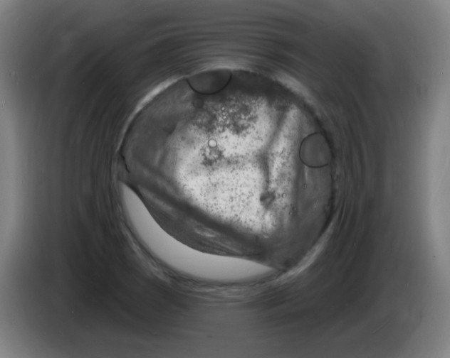 X0000085281121200703301910