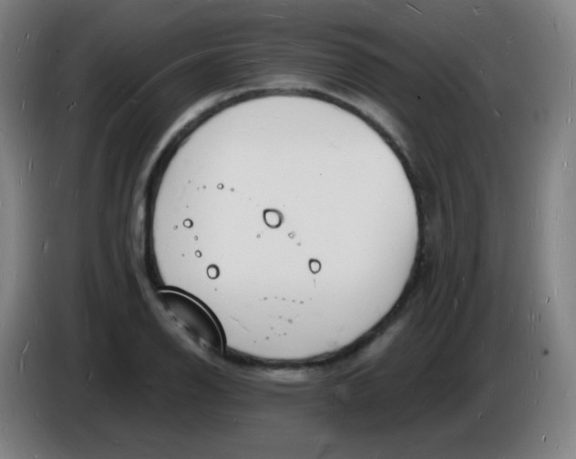 X0000085281126200703301910
