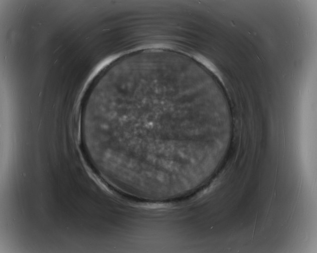 X0000085281127200703301910