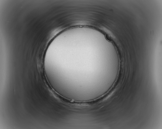X0000085281129200703301910