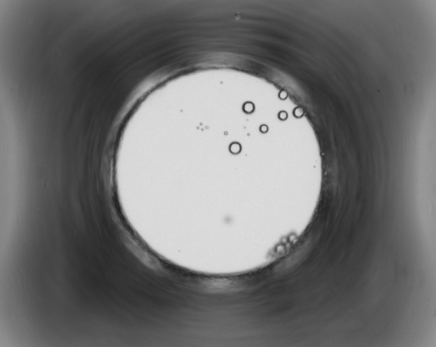 X0000085281130200703301910