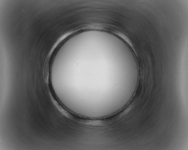 X0000085281131200703301910