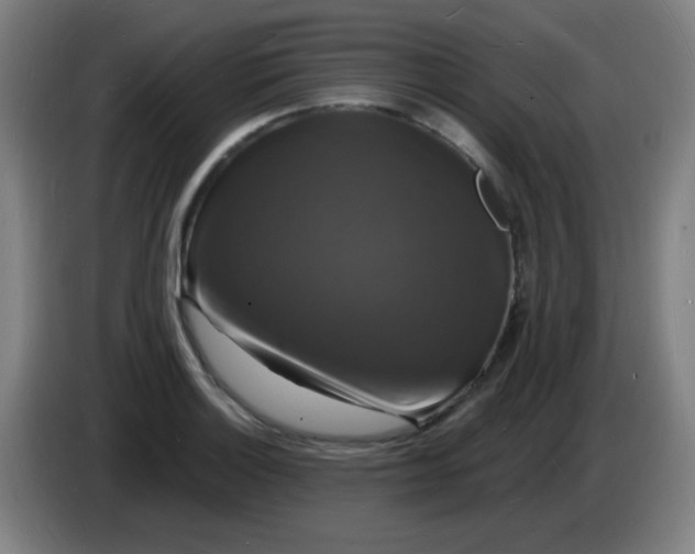 X0000085281132200703301910