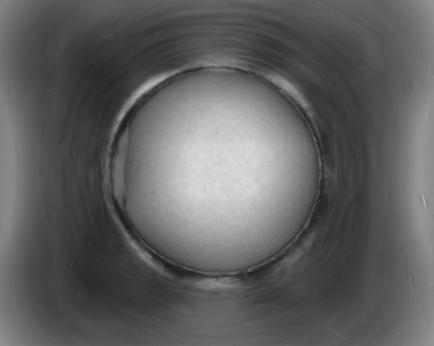 X0000085281133200703301910