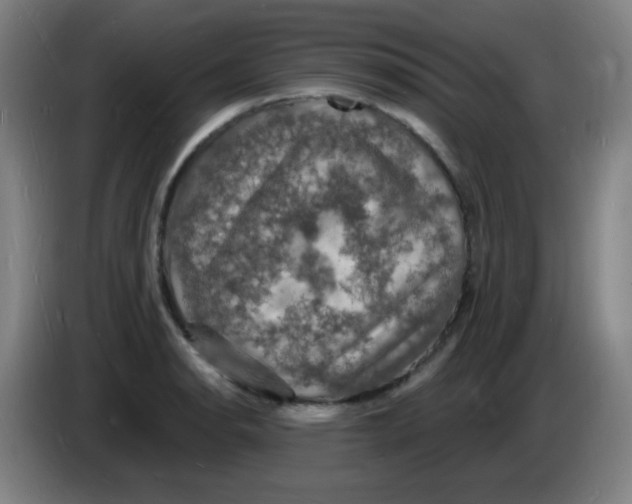 X0000085281134200703301910