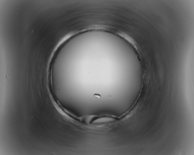 X0000085281135200703301910