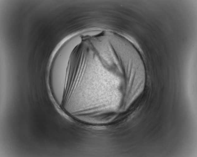 X0000085281136200703301910