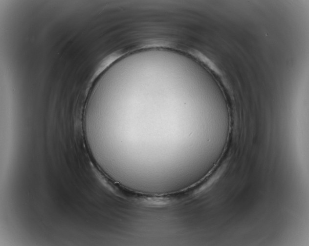X0000085281137200703301910