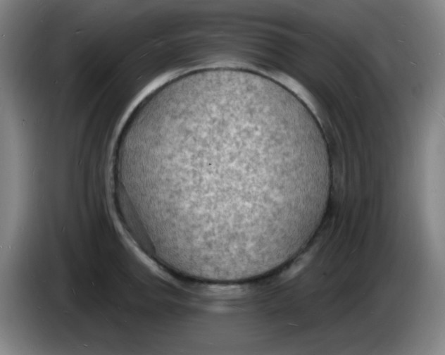 X0000085281142200703301910