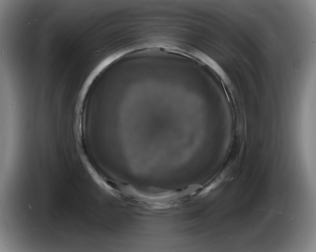 X0000085281144200703301910