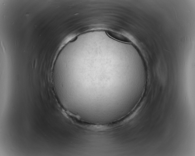 X0000085281145200703301910
