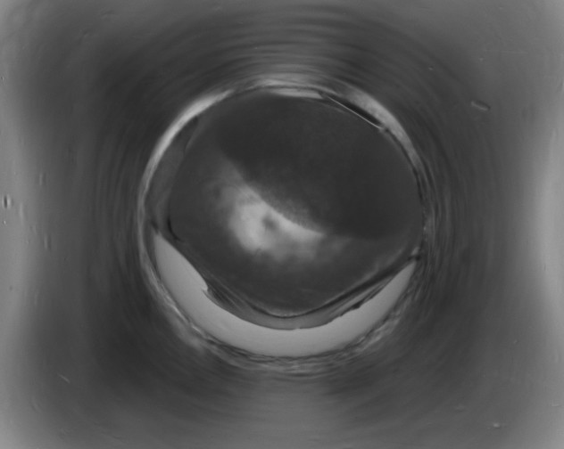X0000085281146200703301910