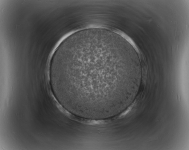 X0000085281148200703301910