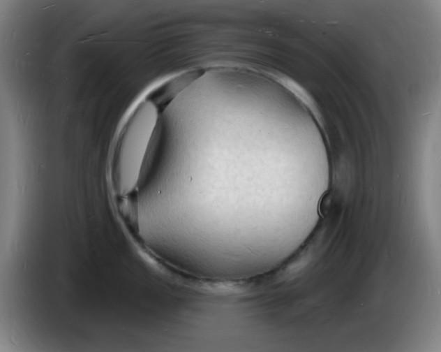 X0000085281149200703301910