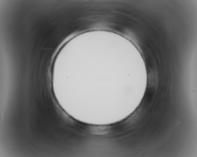 X0000085281150200703301910