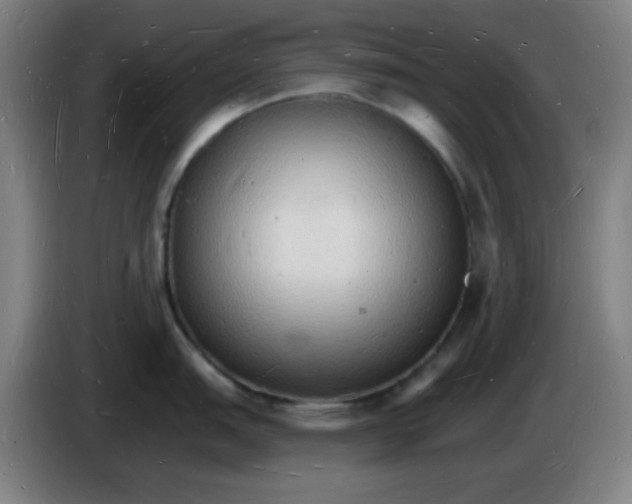 X0000085281151200703301910