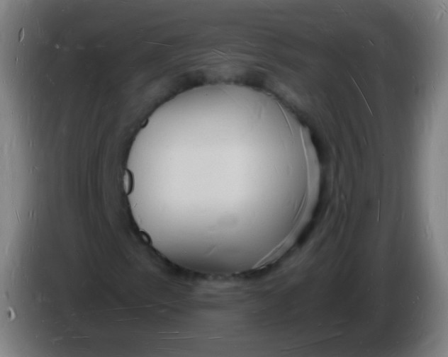 X0000085281153200703301910