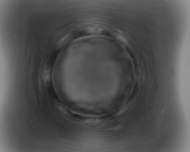 X0000085281154200703301910